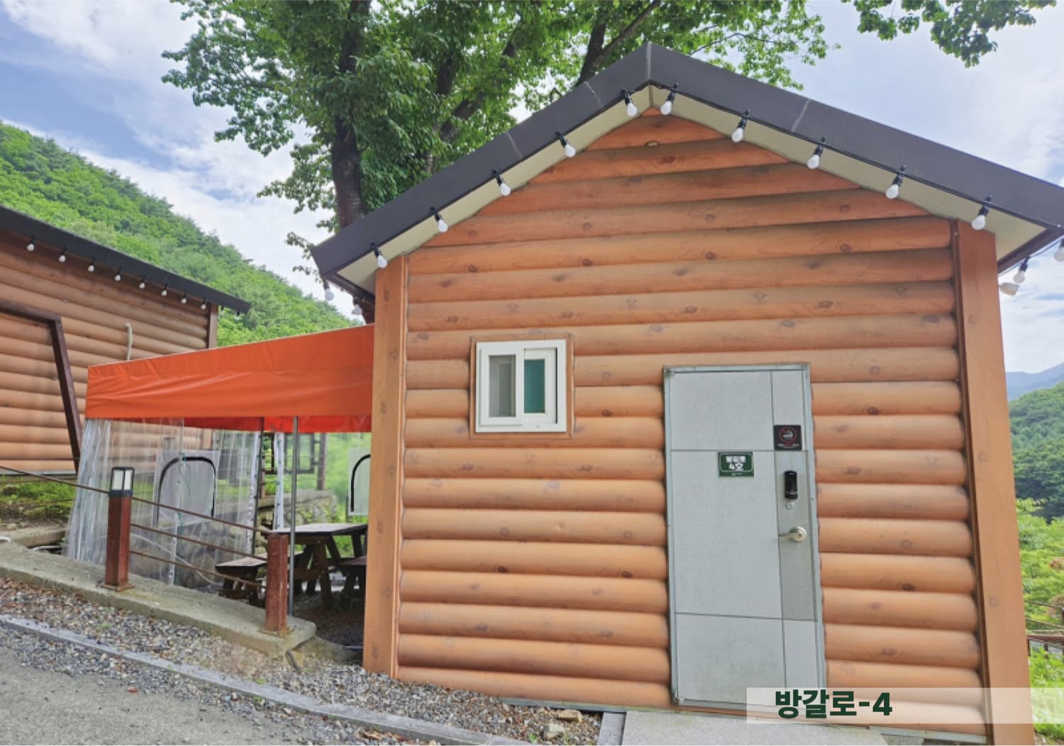 반려견 캠프닉 응급상황 완벽 대처법 — 안전사고 예방부터 긴급조치까지