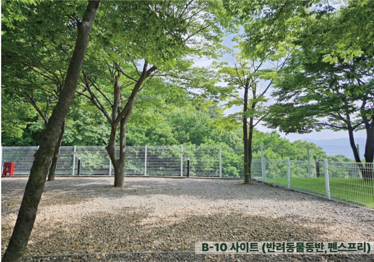 독채 풀빌라 선택 가이드 | 포코러쉬 펜션 정보